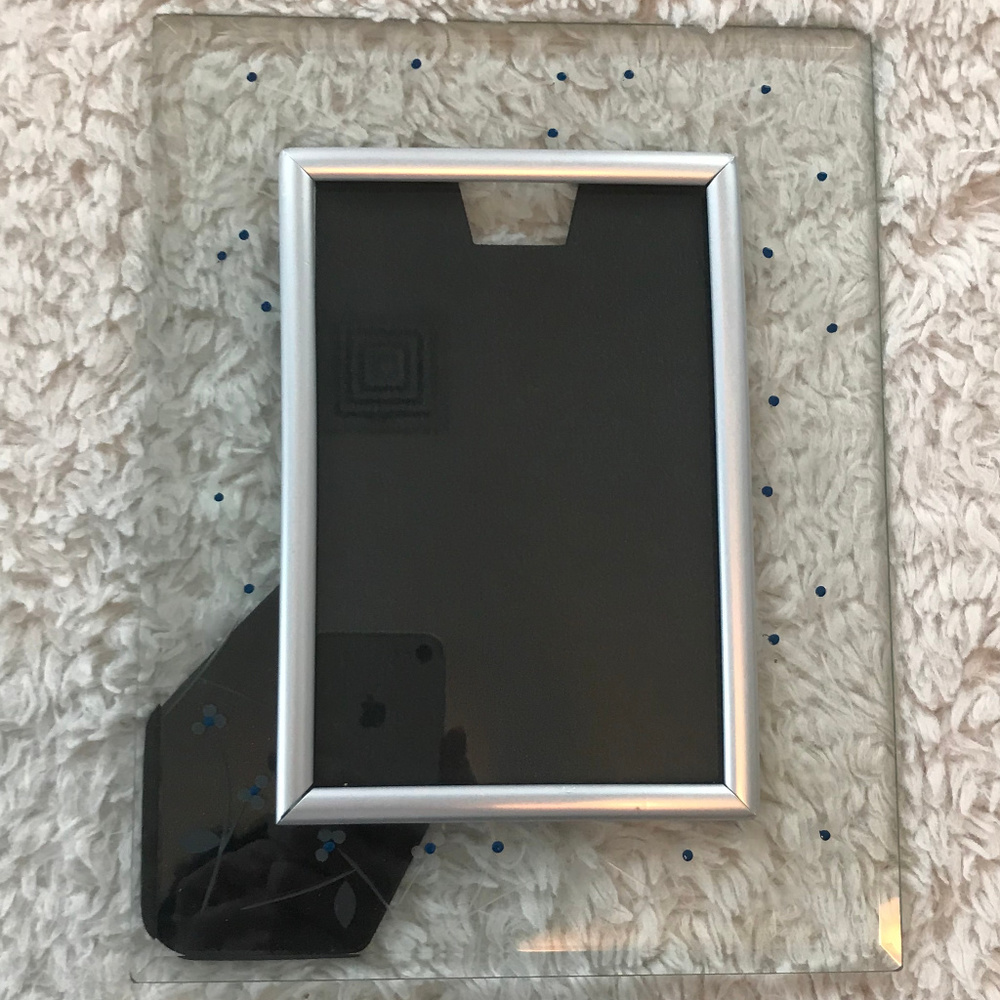 Etched Flowers w/ Blue Centers Picture Frame